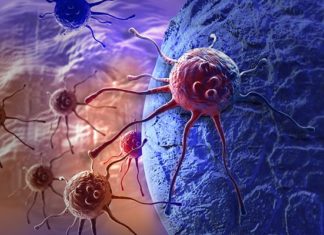 FDA gives green light to Roche cancer test