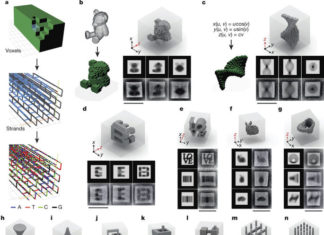 GigaDalton DNA nanotech : DNA bricks enable self-assembly of 3D nanostructures from 10000 unique components
