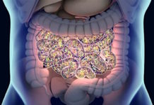 Helpful Intestinal Bacteria Counteracts Tendency to Depression