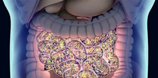 Helpful Intestinal Bacteria Counteracts Tendency to Depression
