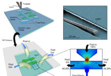 Nanotubes Go With the Flow to Penetrate Brain Tissue