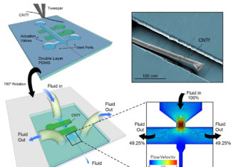 Nanotubes Go With the Flow to Penetrate Brain Tissue