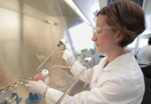 New hope for stopping an understudied heart disease in its tracks