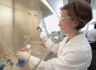 New hope for stopping an understudied heart disease in its tracks