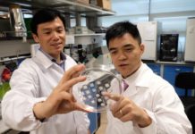 New patch aims to turn energy-storing fats into energy-burning fats
