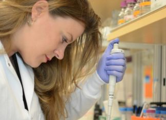 New software can verify someone’s identity by their DNA in minutes