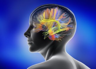 Nicotine Withdrawal Affects the Brain’s Cognitive System
