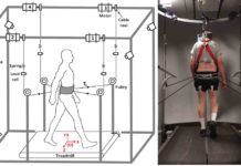 Robotic device improves balance and gait in Parkinson’s disease patients