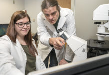 Study prompts new ideas on cancers’ origins