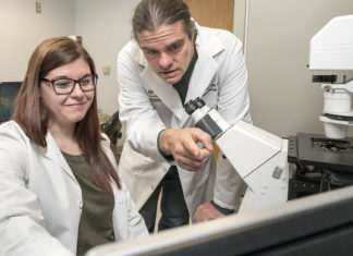 Study prompts new ideas on cancers’ origins