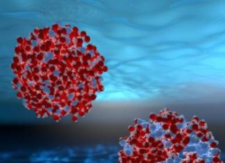 The origin of water’s unusual properties found