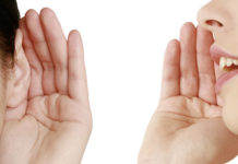 Where Voice Recognition Occurs in the Brain