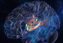 Direct Amygdala Stimulation Can Enhance Memory in Humans