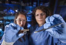 Brain-on-a-chip to test effects of biological and chemical agents, develop countermeasures
