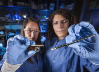 Brain-on-a-chip to test effects of biological and chemical agents, develop countermeasures