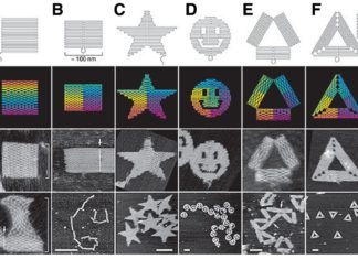 Nanotechnologies enables the design of complex single-stranded DNA and RNA origami