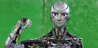 Japan : created the most advanced humanoid robot