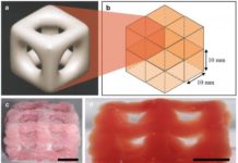 3-D printing creates super soft structures that replicate brain and lungs