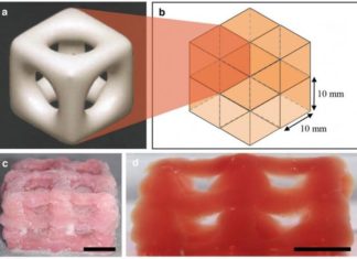 3-D printing creates super soft structures that replicate brain and lungs
