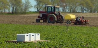 Agricultural fungicide attracts honey bees