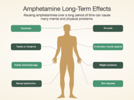 Amphetamine Abuse Disrupts Development of the Prefrontal Cortex