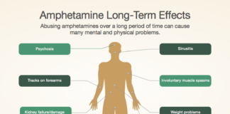 Amphetamine Abuse Disrupts Development of the Prefrontal Cortex