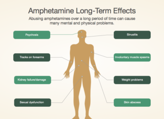 Amphetamine Abuse Disrupts Development of the Prefrontal Cortex
