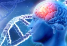 Brain tumours : Viral stimulation of the human immune response could be employed to treat cancers with few other available options