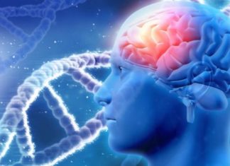 Brain tumours : Viral stimulation of the human immune response could be employed to treat cancers with few other available options