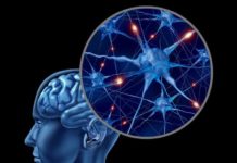 Brain’s Immune System May Be Key to Better Treatments for Psychiatric Disorders