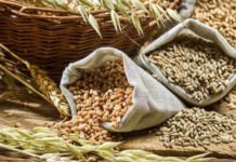 Fibre-rich diet can have a positive influence on chronic inflammatory joint diseases, leading to stronger bones
