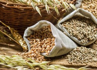 Fibre-rich diet can have a positive influence on chronic inflammatory joint diseases, leading to stronger bones