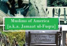 Origin of the Muslims of the Americas