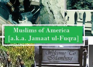 Origin of the Muslims of the Americas