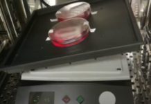 Heart-muscle patches made with human cells improve heart attack recovery