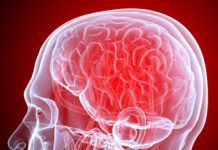 New Insights Into How the Brain Keeps Itself Balanced