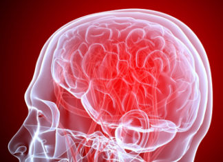 New Insights Into How the Brain Keeps Itself Balanced