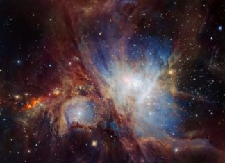 Unprecedented Fly-through : Orion Nebula