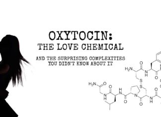 Oxytocin Helps the Brain Modulate Social Signals