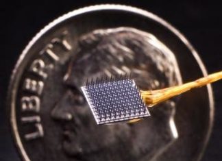 People with tetraplegia gain rapid use of brain-computer interface