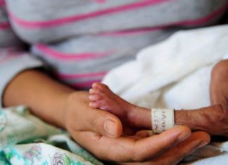 Premature births linked to changes in mother’s bacteria