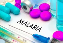 Promising malaria vaccine tested