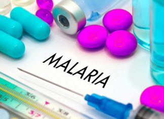 Promising malaria vaccine tested