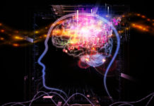 Researchers report the prefrontal cortex coordinates activity in order to help us act in response to perception