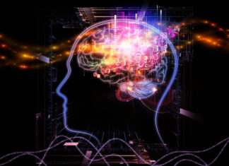 Researchers report the prefrontal cortex coordinates activity in order to help us act in response to perception