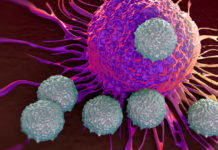 Researchers find a way to starve cancer