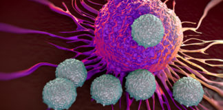 Researchers find a way to starve cancer