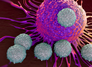 Researchers find a way to starve cancer