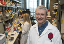 Researchers illustrate how muscle growth inhibitor is activated, could aid in treating ALS