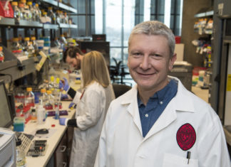 Researchers illustrate how muscle growth inhibitor is activated, could aid in treating ALS